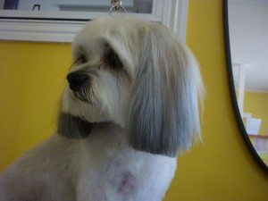 Ming After