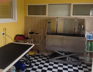 Washing and Drying Room